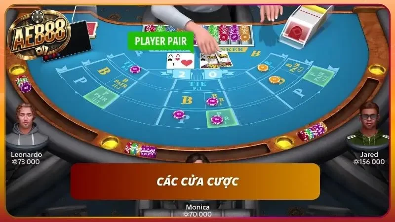 Cách Chơi Baccarat Cho Người Mới Bắt Đầu - Tất Tần Tật A-Z 4 Một số cửa cược hấp dẫn trong game